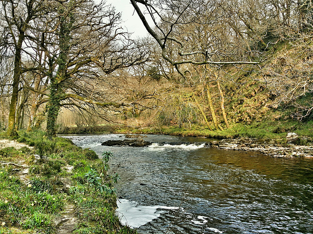 River Dart - 20140326 [mobil]