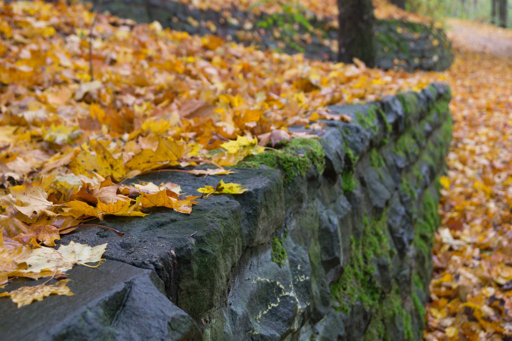 20131026-DSC03623