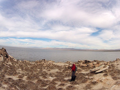 Mullet Island (0821)
