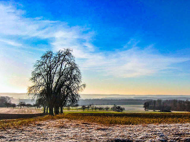 Eiskalter Morgen (180°)