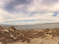 Mullet Island (0811) Mullet Island (0811)