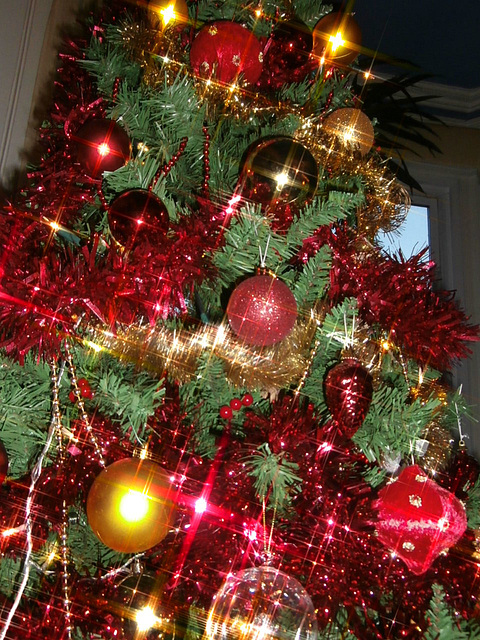 Tree with flash,