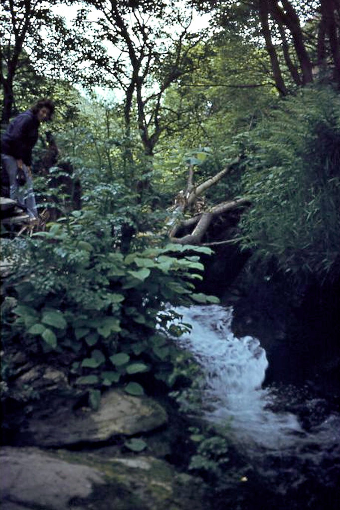 Rocky Valley stream