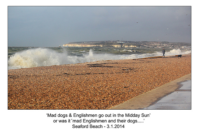 Seaford Beach - UK - 3.1.2014