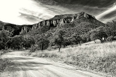 Carr Canyon Road