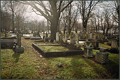 Graveyards make good neighbours