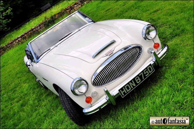 1966 Austin-Healey 3000 MkIII - HDN 875D