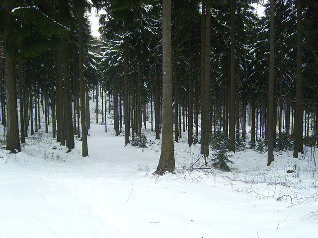 Zittauer Gebirge bei Waltersdorf