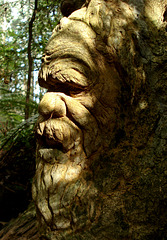 William Ricketts Sanctuary 4