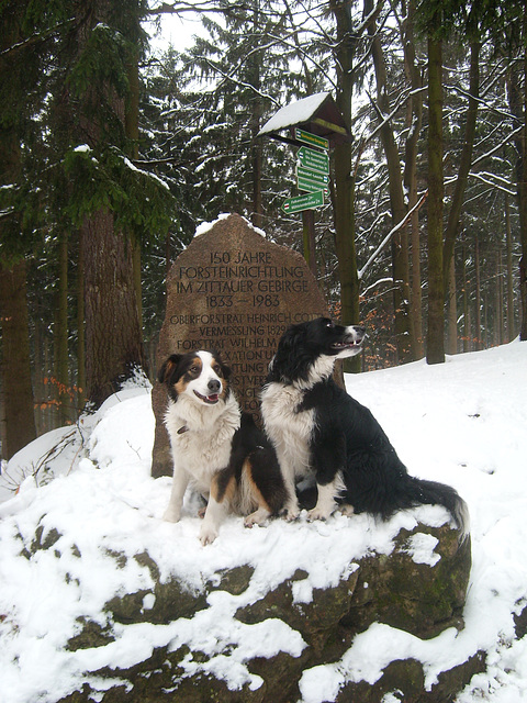 Geschwister im Schnee