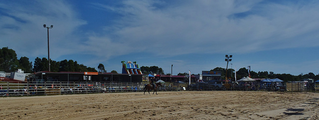 Stony Creek Rodeo 2014