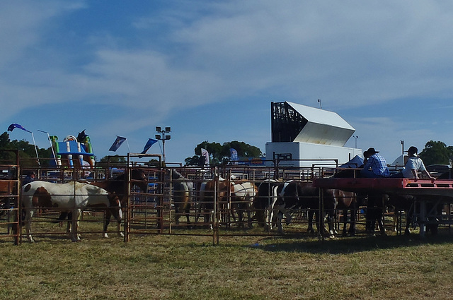 Stony Creek Rodeo 2014