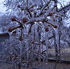 Ice Storm 22nd December 2013