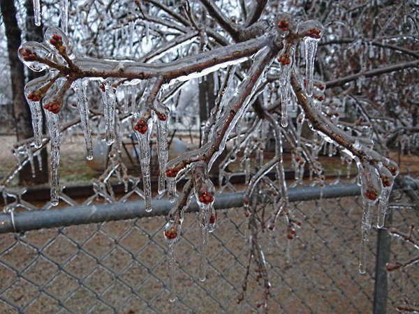 Ice Storm 22nd December 2013