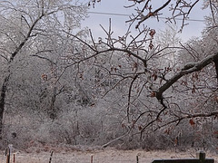 Ice Storm 22nd December 2013