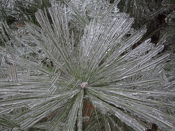 Ice Storm 22nd December 2013