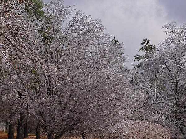 Ice Storm 22nd December 2013