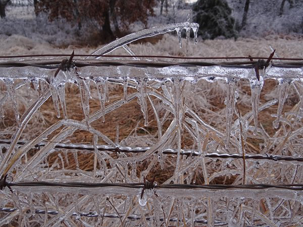 Ice Storm 22nd December 2013