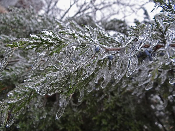 Ice Storm 22nd December 2013