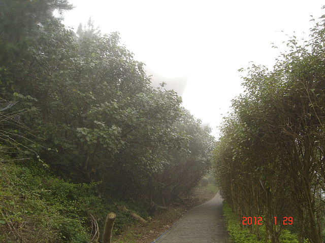 DSC08898