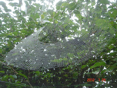 DSC08900