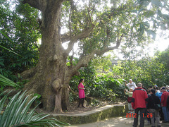 DSC08940