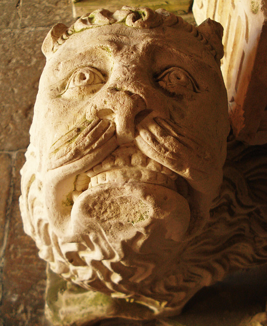 lion face, Sé Velha, cloister