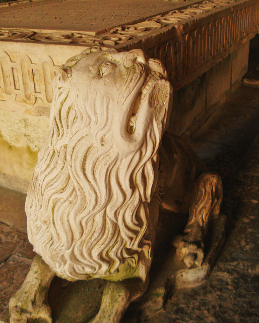 lion, Sé Velha, cloister