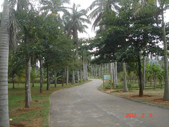 DSC08989