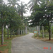 DSC08989