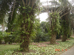 DSC09000