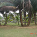 DSC09007