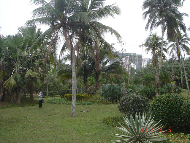 DSC09013