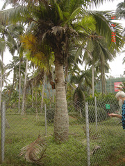DSC09014