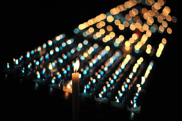 Lumières de la Cathédrale de Chartres