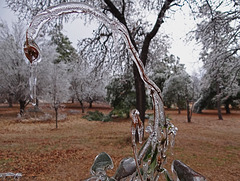 Ice storm 23-12-2013