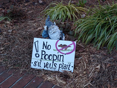 no poopin'