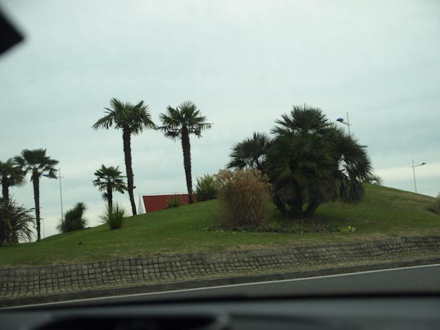 P1011134