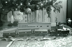 Christmas tree train