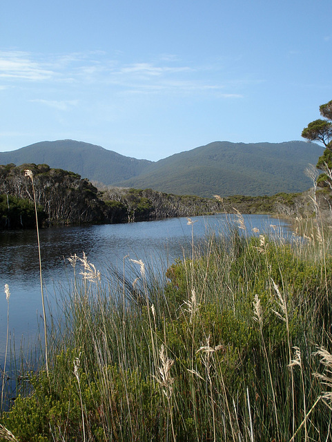 Tidal River, Wilson's Promontory