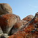 Whisky Beach, Wilson's Promontory