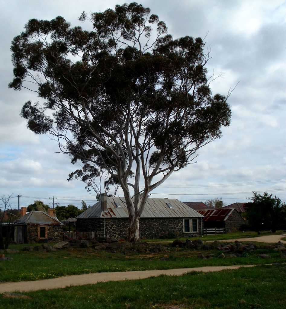 Ziebell's farm