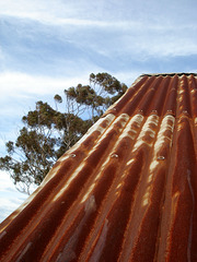 Ziebell's farm, barn roof