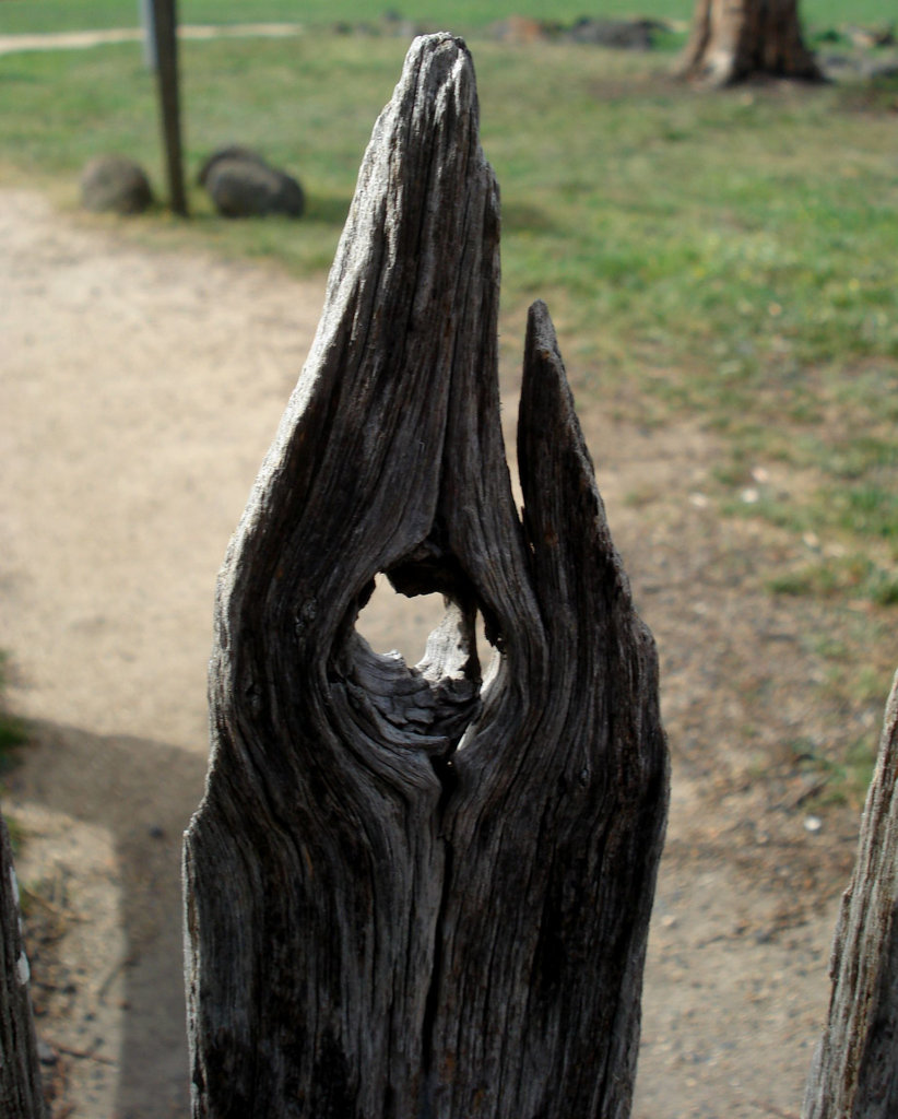 picket fence gate, detail