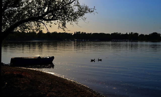 abends am Silbersee....