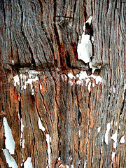 Old wooden grave marker, detail