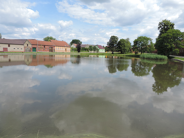 Dorfteich in Niendorf