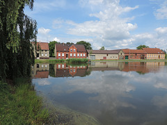 Dorfteich in Niendorf