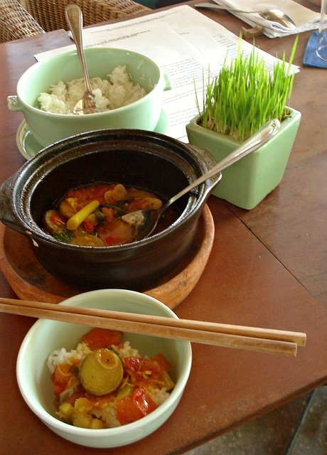 Vietnamese eggplant in clay pot