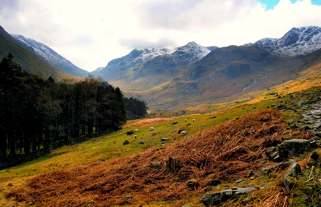 Grizedale valley, Cumbria.